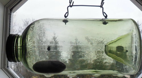 Glass Jar Minnow Traps